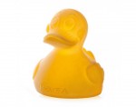 canard bain