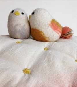 CamDup_birds_JAN15-570x640